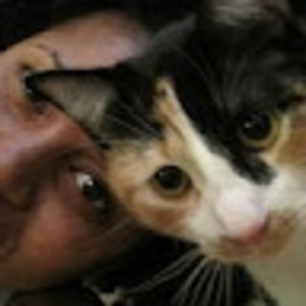 Meet your Posher, Kim